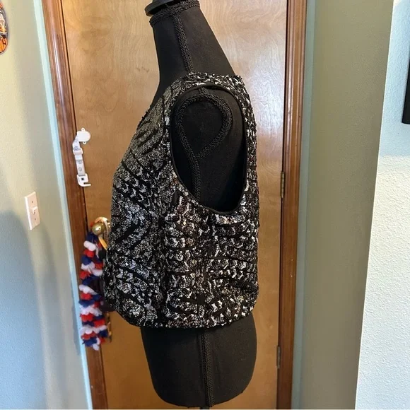 Walter Baker Jaylene Gatsby Sequin top sleeveless black and silver size L - Picture 4 of 9